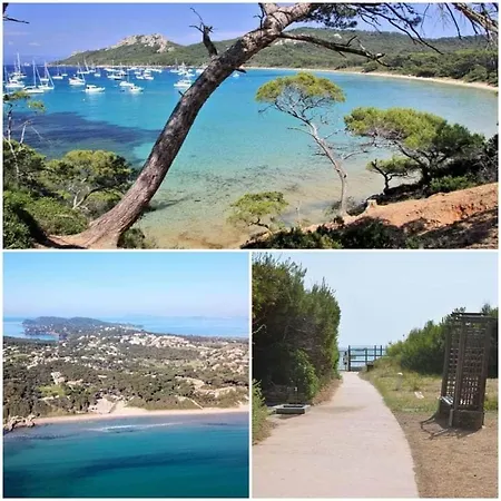 4 Personnes Sur La Presqu'ile De Giens Avec Piscine Et Acces Direct Sur La Appartement